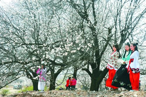 维多利亚vic67 品牌形象